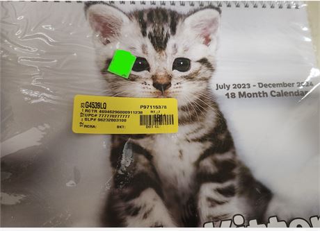 Kitten 18 month wall calendar July 2023- December 2024