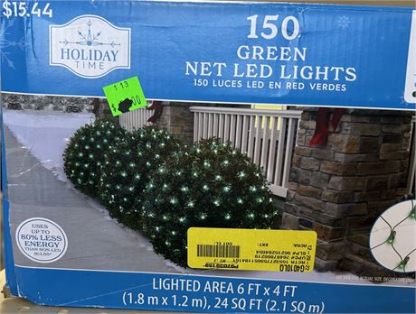 Holiday Time Green wire Net Led Lights, covers 6 ft x 4 ft