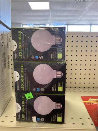 Case of (SIX) Torchlight LED Light Bulbs