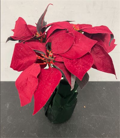 Holiday Time Dark Red Velvet Faux Poinsettia Pot Christmas Decor, 15 tall; 10.9