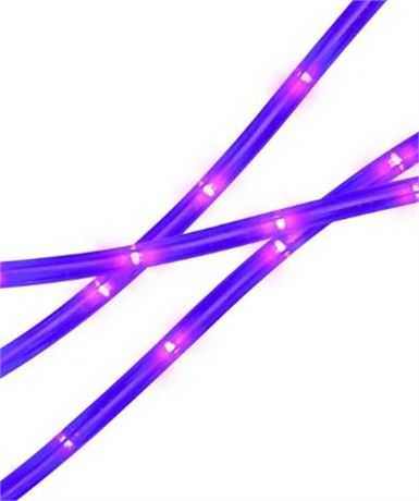 Celebrate! Halloween 30 ft LED Purple Rope Light
