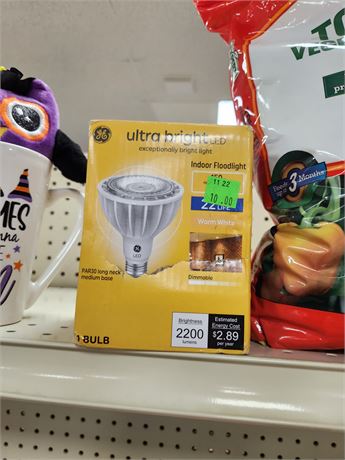 GE Ultra Bright LED Light indoor Floodlight