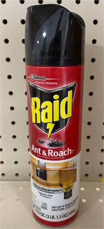 Raid Ant and Roach Killer 17.5oz