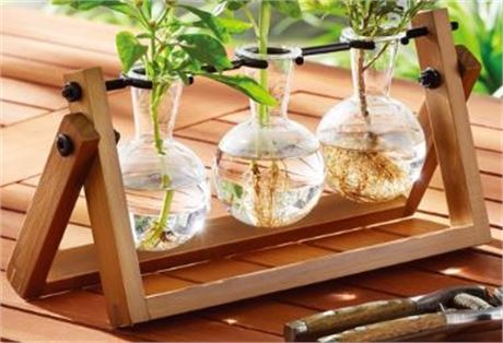 Better Homes and Gardens 4 piece Propagation Station