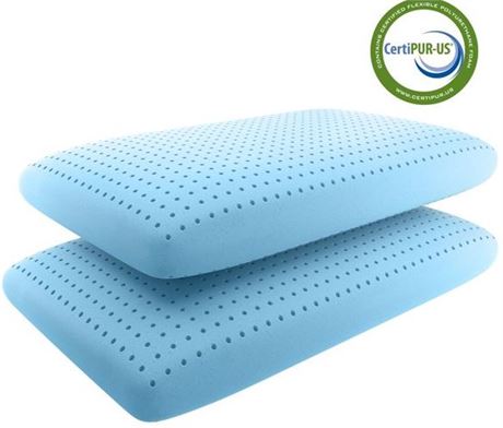 TWO Pack Sertapedic Memory Foam Pillows with Microban Antimicrobial