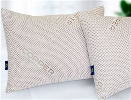 Case of (TWO) Coppertone Pillows