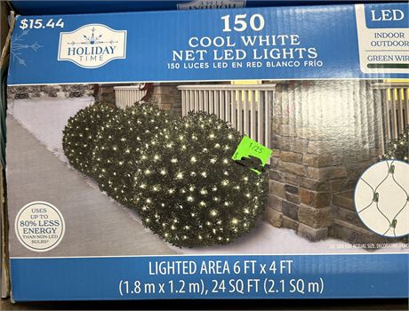 Holiday Time 150 cool white net lights