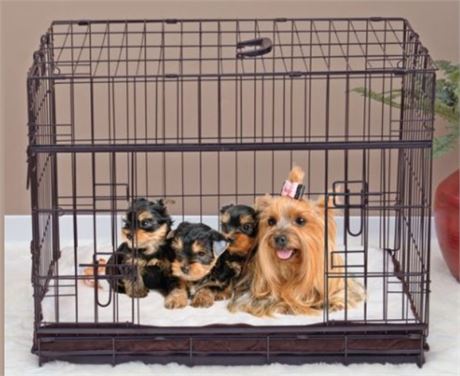 Lucky Dog Sliding Double Door Dog Crate, X-Small, 24"L