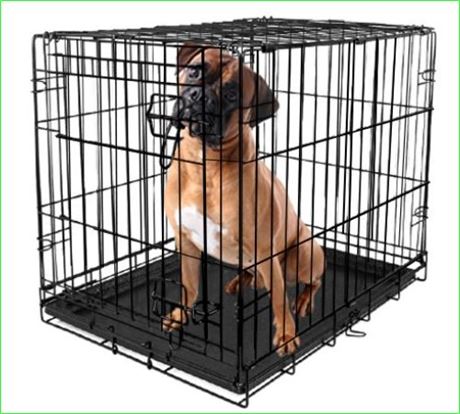 Vibrant Life, Single-Door Folding Dog Crate with Divider, XX-Large